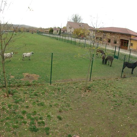 Bungalows Granja Escuela Арлансон Экстерьер фото